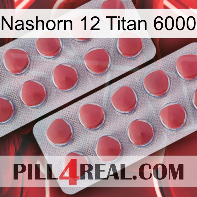 Rhino 12 Titanium 6000 19